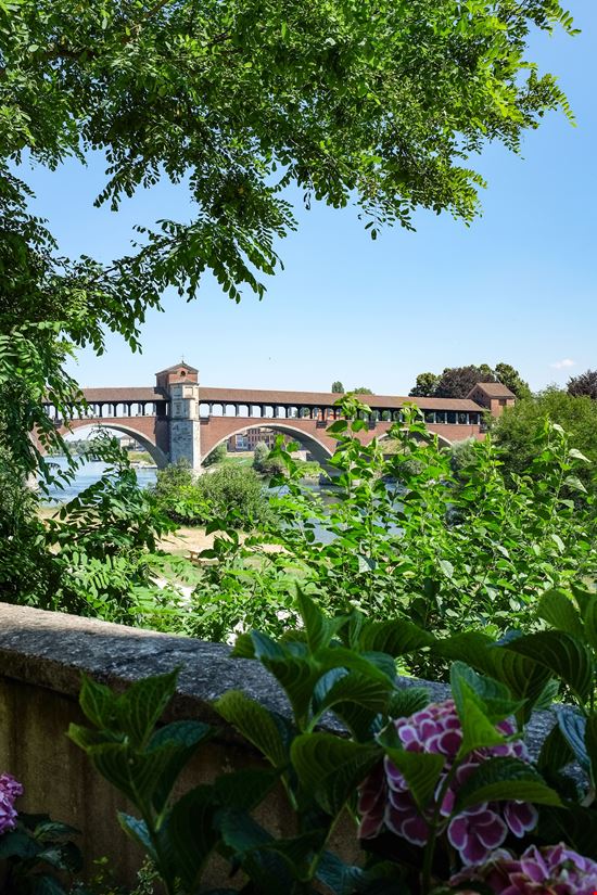 Pavia Ponte Coperto stock.adobe.com 