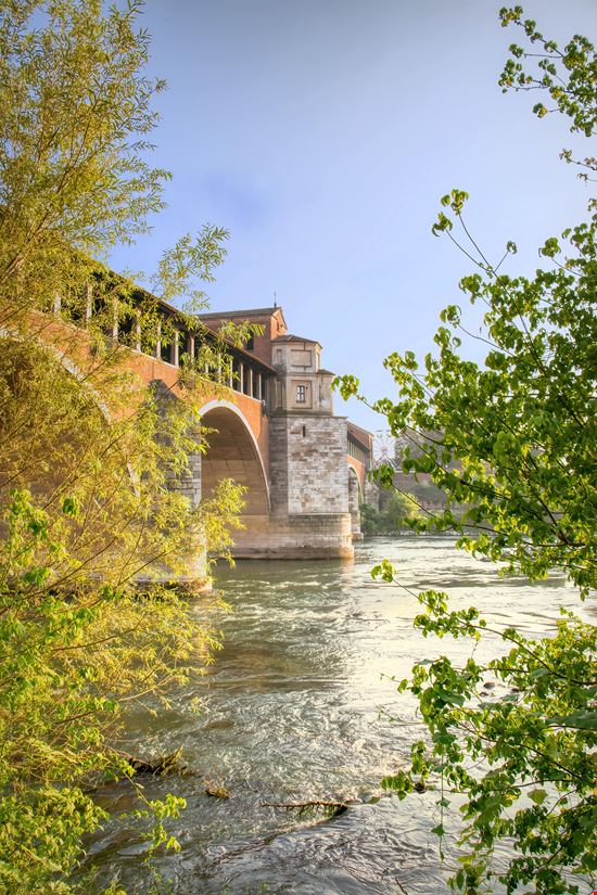 Pavia Ponte Coperto stock.adobe.com 