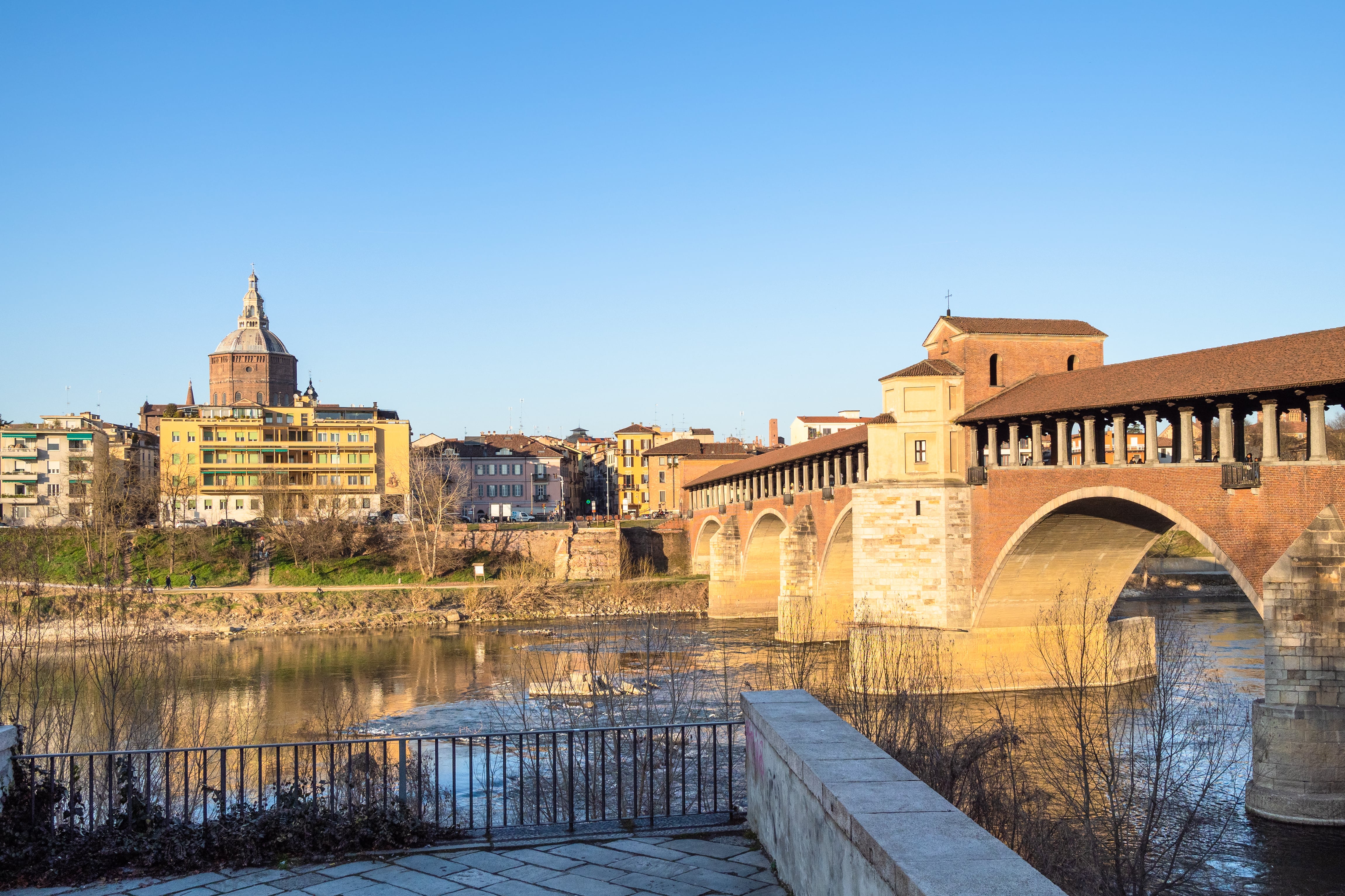Pavia