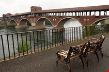 Pavia