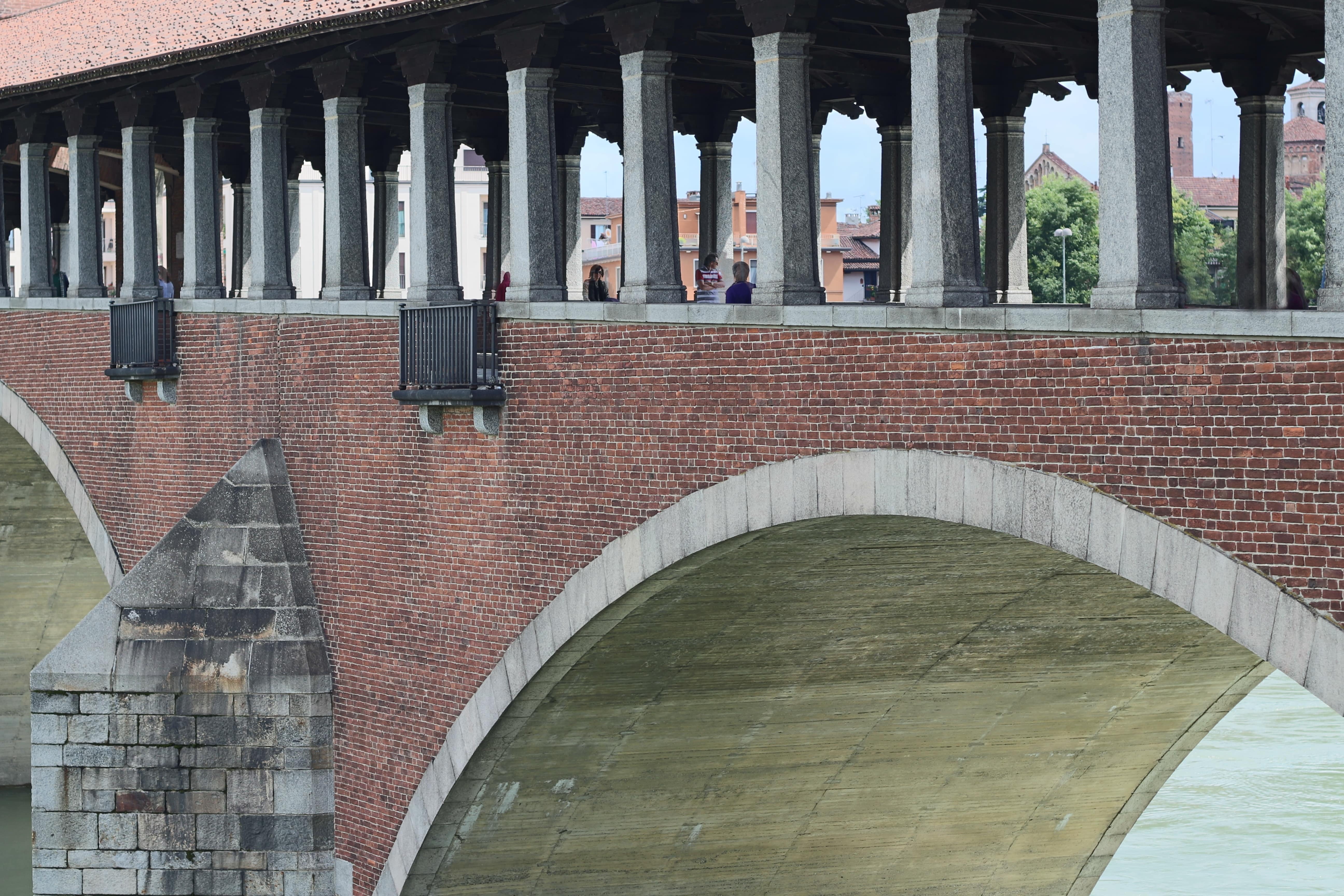 Pavia