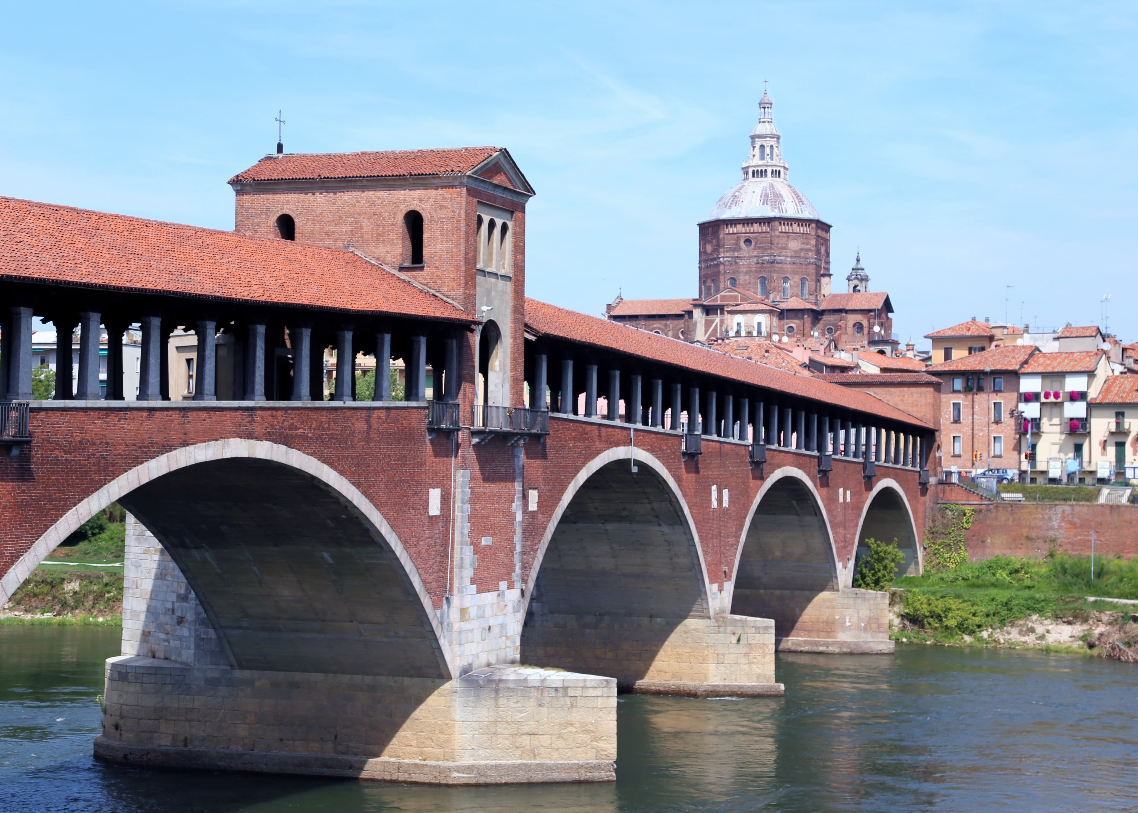 Pavia