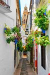 Vicolo dei fiori