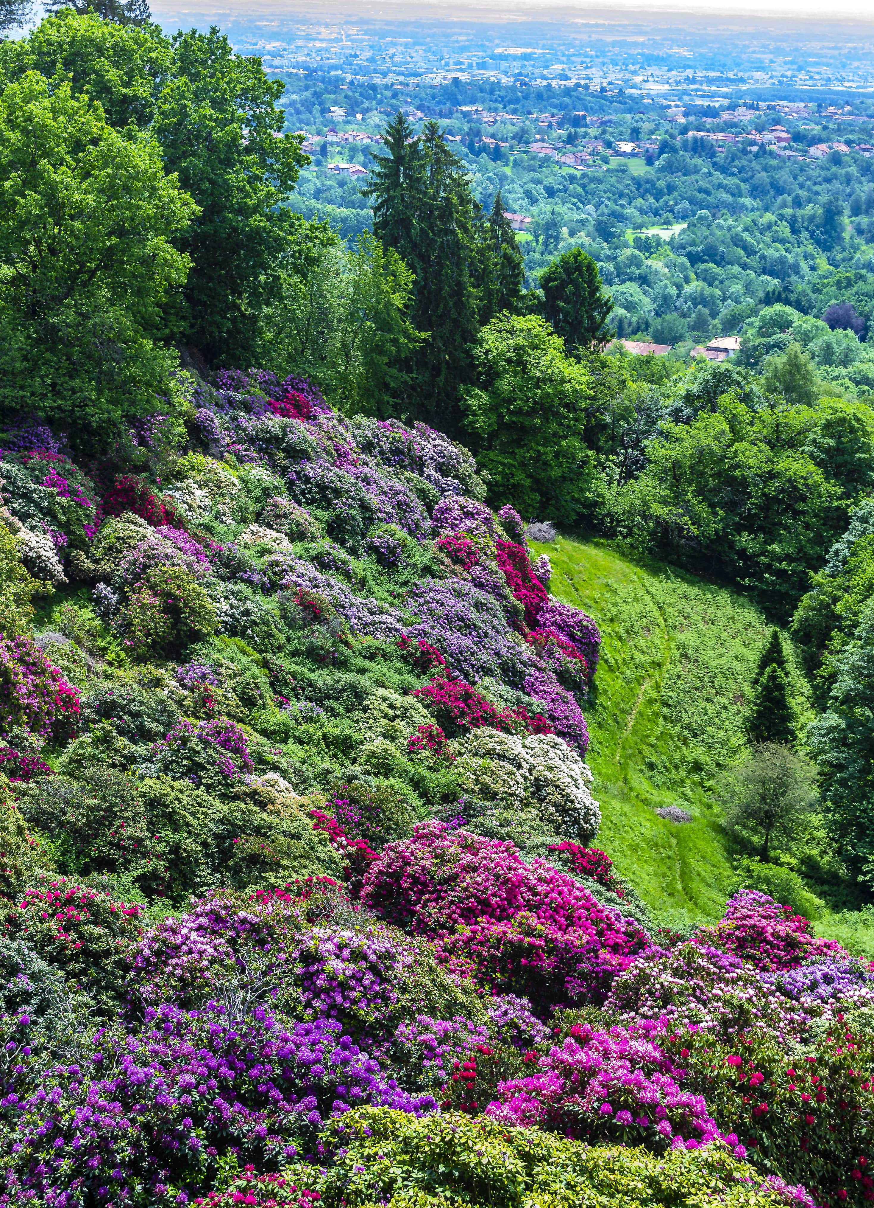 Biella