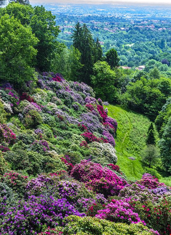 Biella parco burcina stock.adobe.com 
