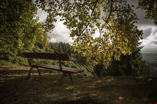 Biella parco burcina stock.adobe.com 