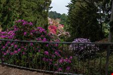 Biella