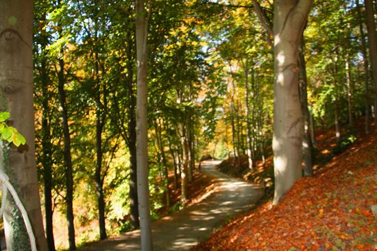 Biella parco burcina stock.adobe.com 