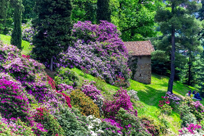 parco burcina - parco burcina - stock.adobe.com