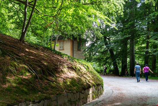 Biella parco burcina stock.adobe.com 