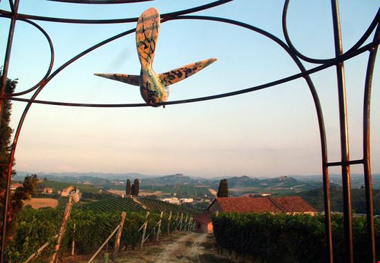 Art Park La Court Il museo a cielo aperto tra i vigneti del Piemonte michelechiarlo.it 