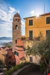 Cervo