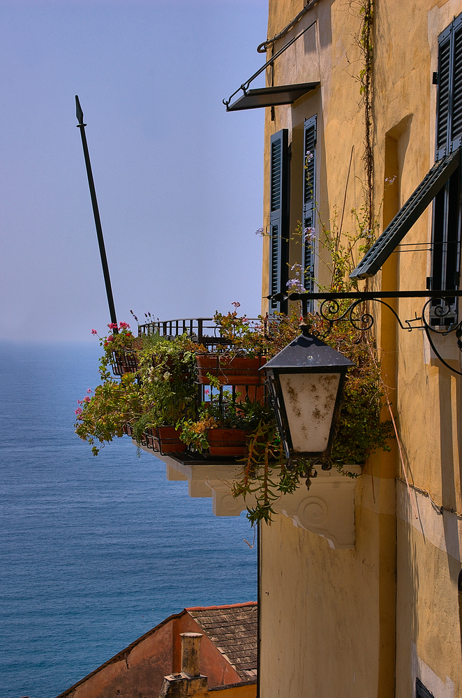 Cervo