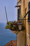Cervo