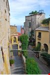 Cervo