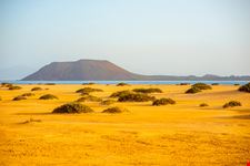 Fuerteventura