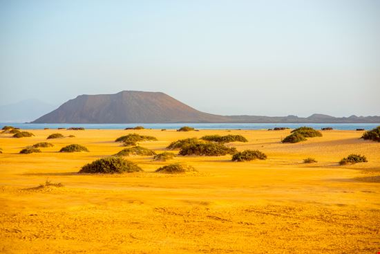 Fuerteventura Il parco delle dune stock.adobe.com 