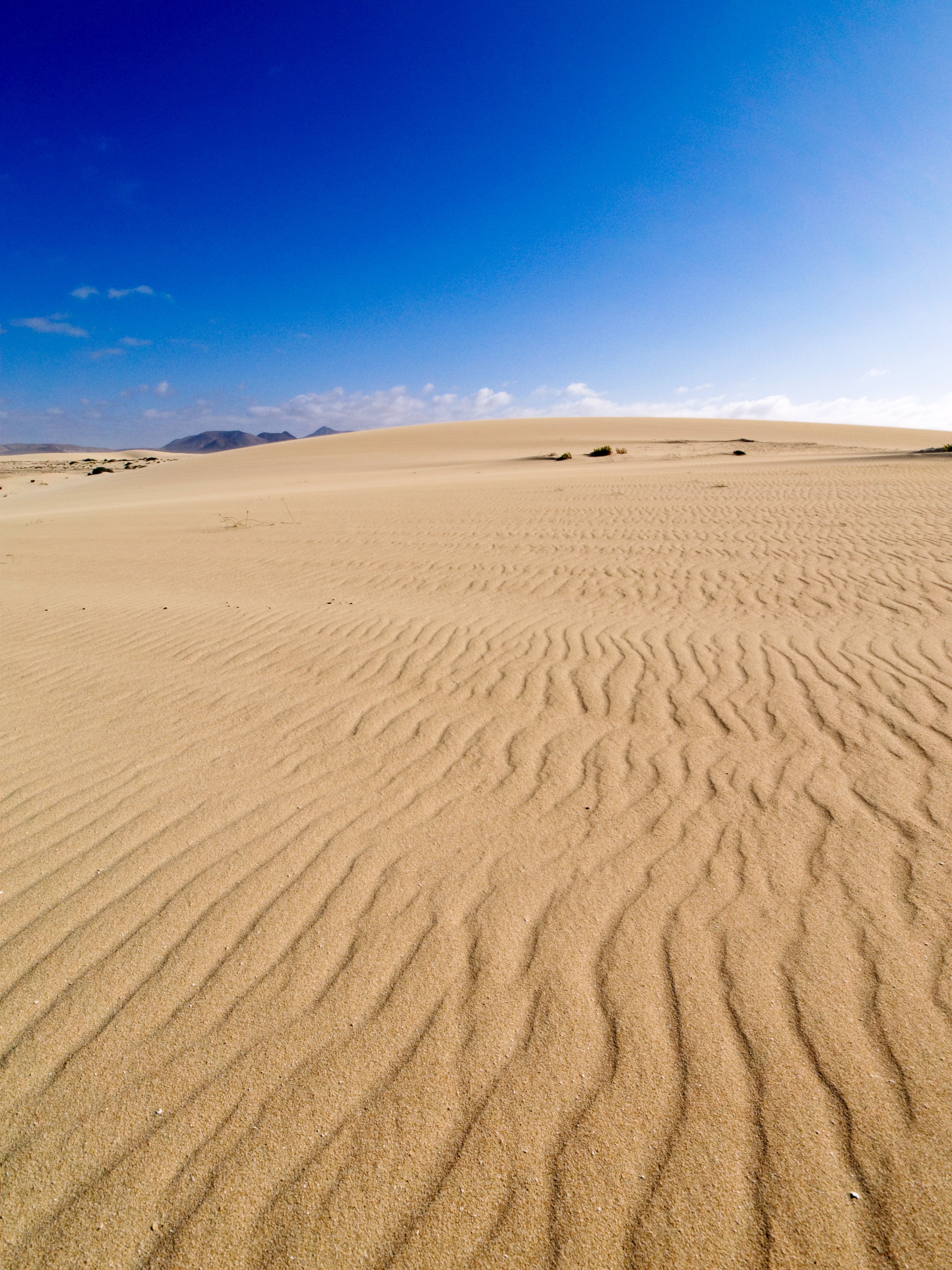 Fuerteventura