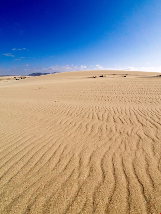 Fuerteventura Il parco delle dune stock.adobe.com 