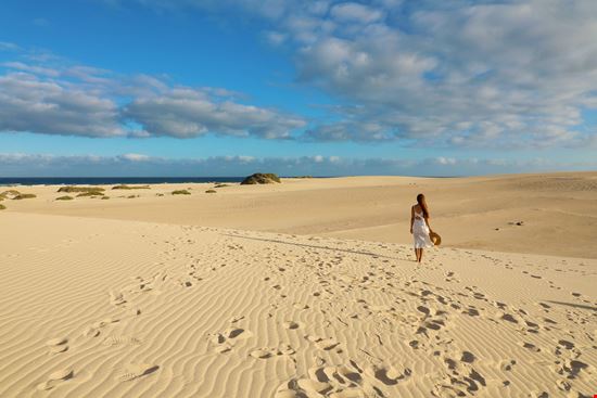 Fuerteventura Il parco delle dune stock.adobe.com 