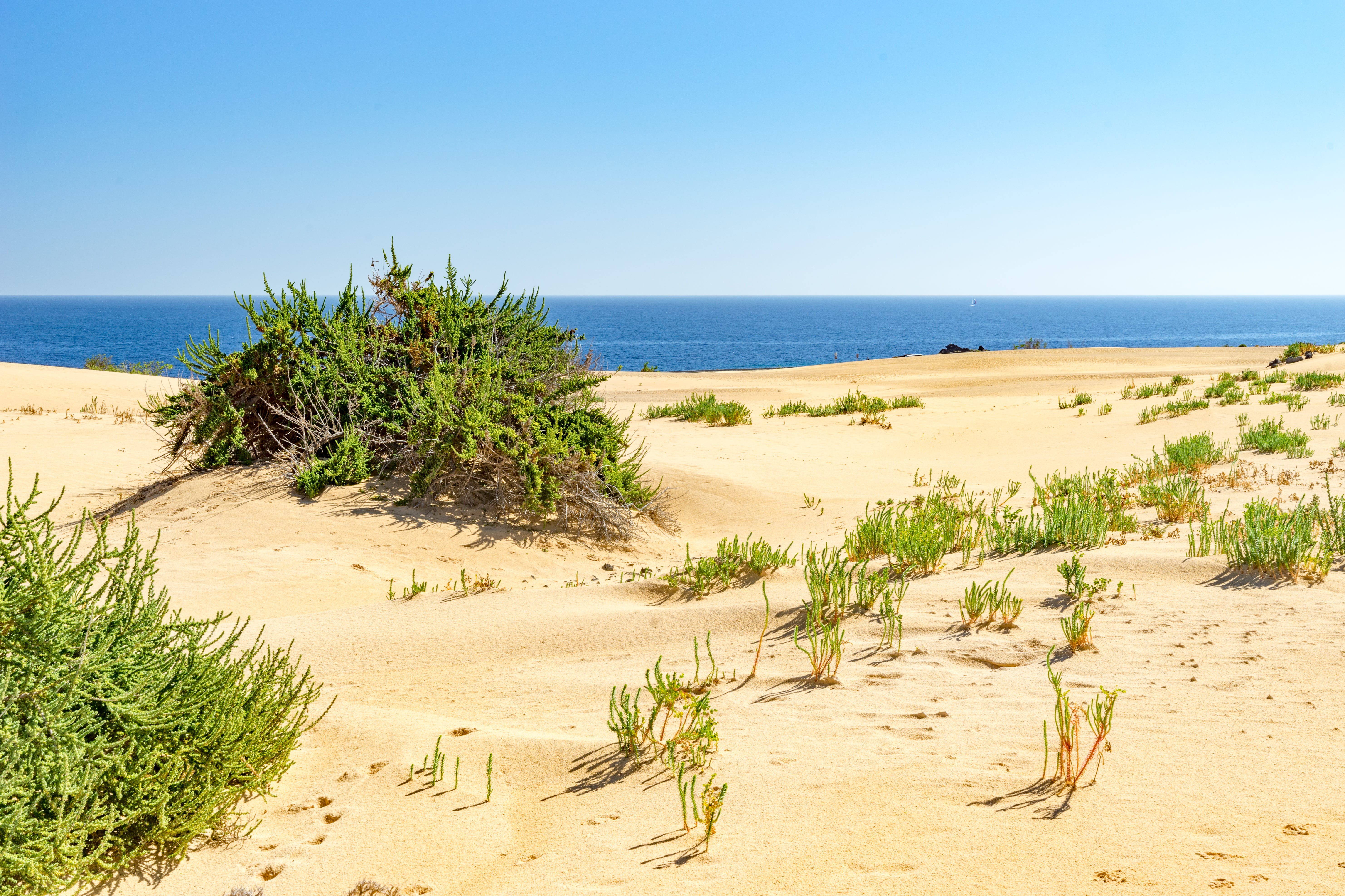 Fuerteventura