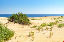 Fuerteventura