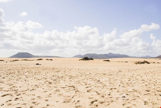 Fuerteventura Il parco delle dune stock.adobe.com 