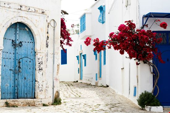 Sidi Bou Saïd Sidi Bou Saïd Myroslava Pavlyk - Shutterstock.com 