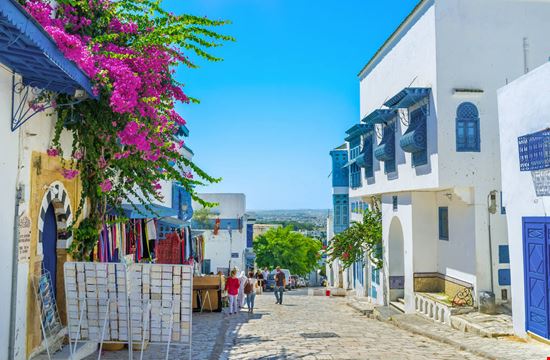 Sidi Bou Saïd Sidi Bou Saïd eFesenko / Shutterstock.com 