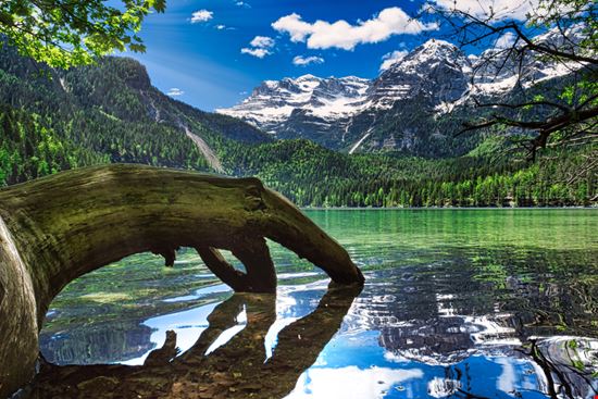 Lago di Tovel Lo specchio d'acqua tra le Dolomiti Stefano Gualteroni 