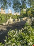 Central Park