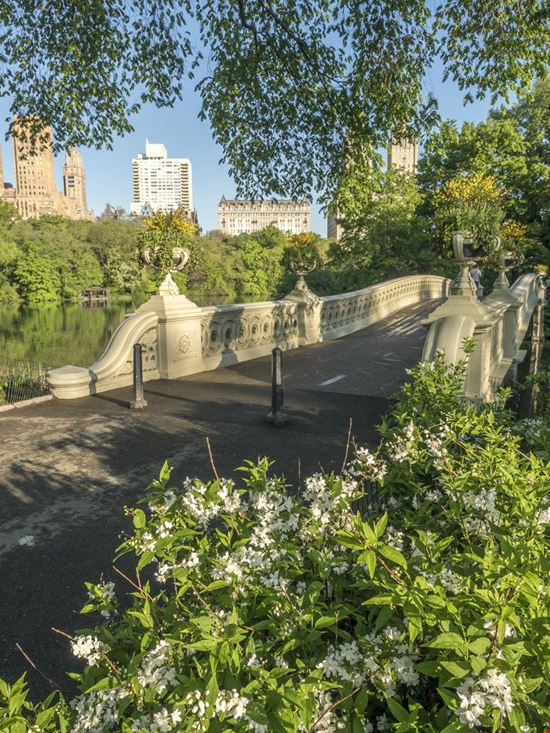 Central Park Central Park John A. Anderson - Shutterstock.com John A. Anderson