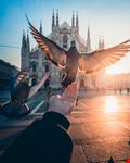 Milano