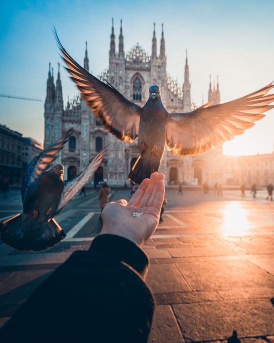 Milano Duomo di Milano adrianncng - Shutterstock.com 