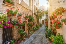 Spello
