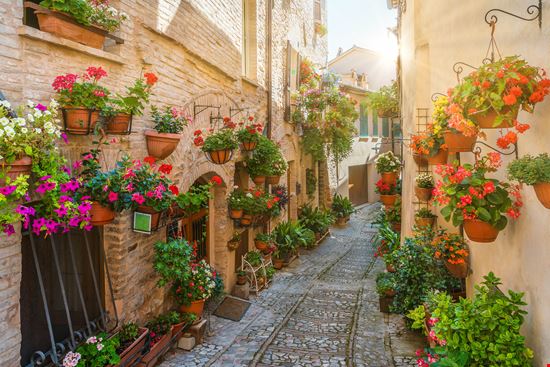 Spello Spello stock.adobe.com 