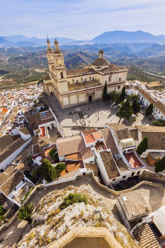 Olvera Olvera Henryk Sadura - Shutterstock.com 