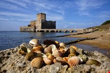 Torre Astura