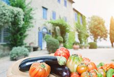 Magliano in Toscana