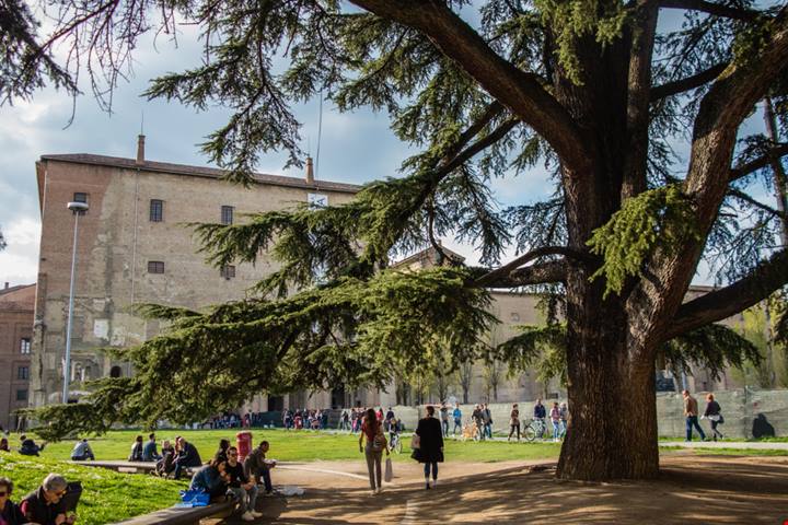 La capitale della Food Valley è la città ideale per un weekend d'autunno tra cibo, storia e cultura