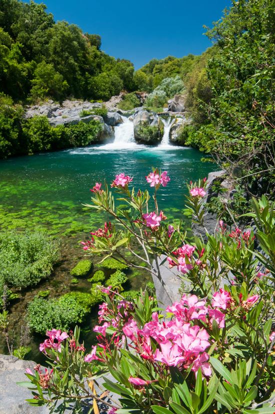 Gole dell'Alcantara Gole dell'Alcantara Marco Ossino - Shutterstock.com Marco Ossino