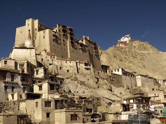 Leh Leh Rita Januskeviciute - Shutterstock.com 