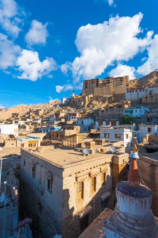 Leh Leh Pius Lee - Shutterstock.com 