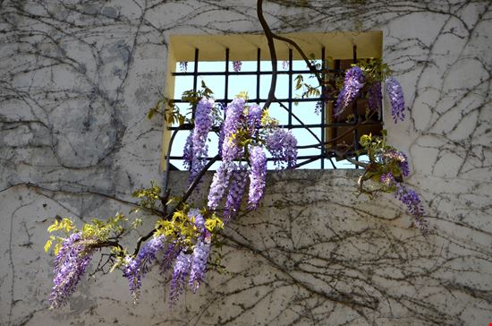 Giardino Bardini Giardino Bardini Mau47 - Shutterstock.com 