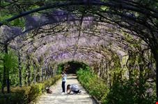 Giardino Bardini
