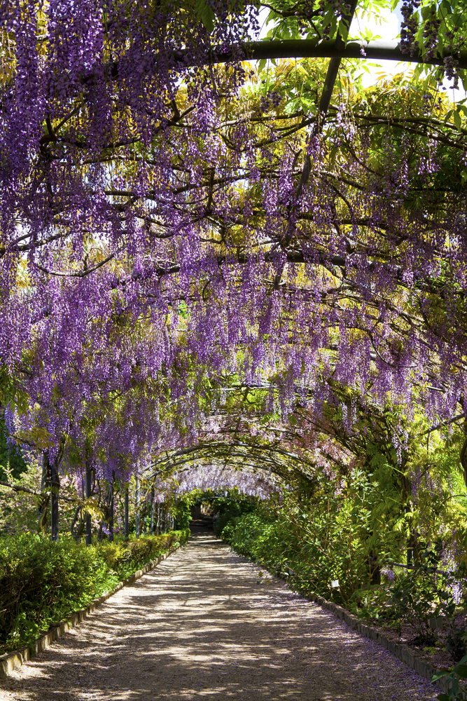 Giardino Bardini