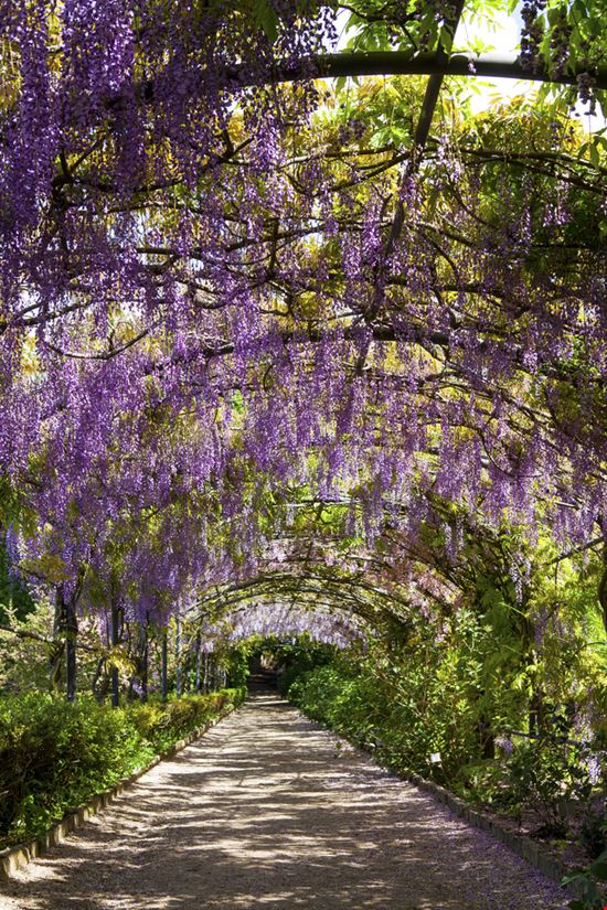 Giardino Bardini Giardino Bardini JurateBuiviene - Shutterstock.com 