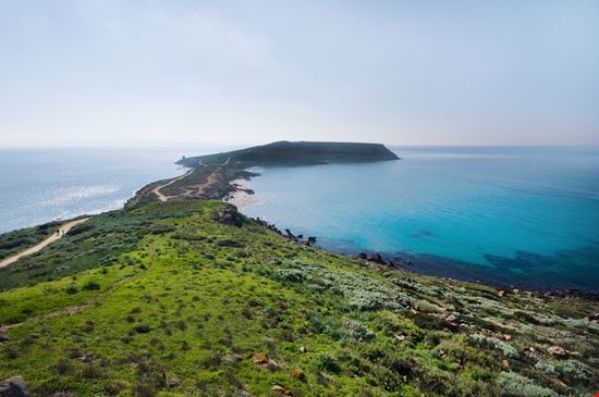 Penisola del Sinis Penisola del Sinis Gianluigi Becciu - Shutterstock.com 