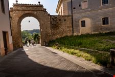 Asciano