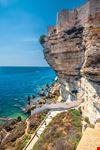 Bonifacio